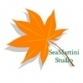 Seamartini